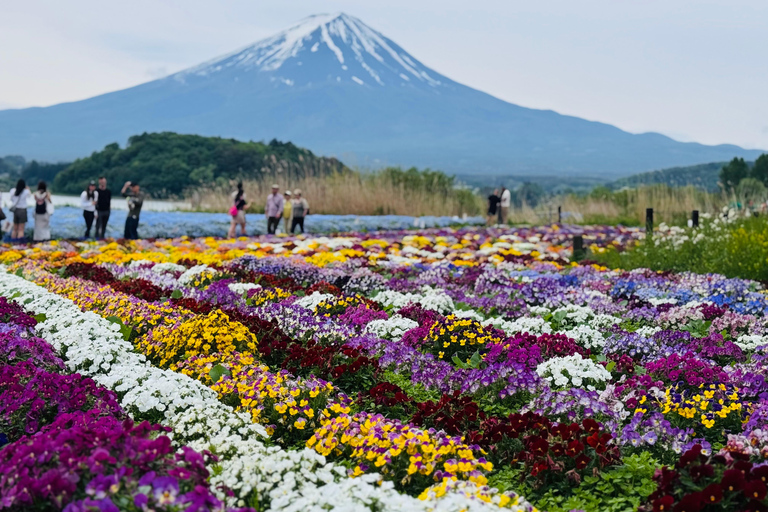 Tokyo: Private Daytrip to Mount Fuji - Fully Customizable Mt Fuji Private Luxury Van Tour (Customizable Experience)