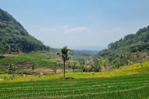 Avventura al Tempio di Selogriyo: trekking tra risaie e rafting sul fiume EloAvventura al tempio di Selogriyo: trekking nella risaia e rafting sul fiume Elo