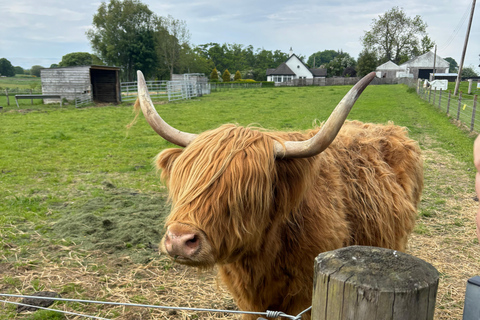 Inverness: Highland Heritage and Culture Tour