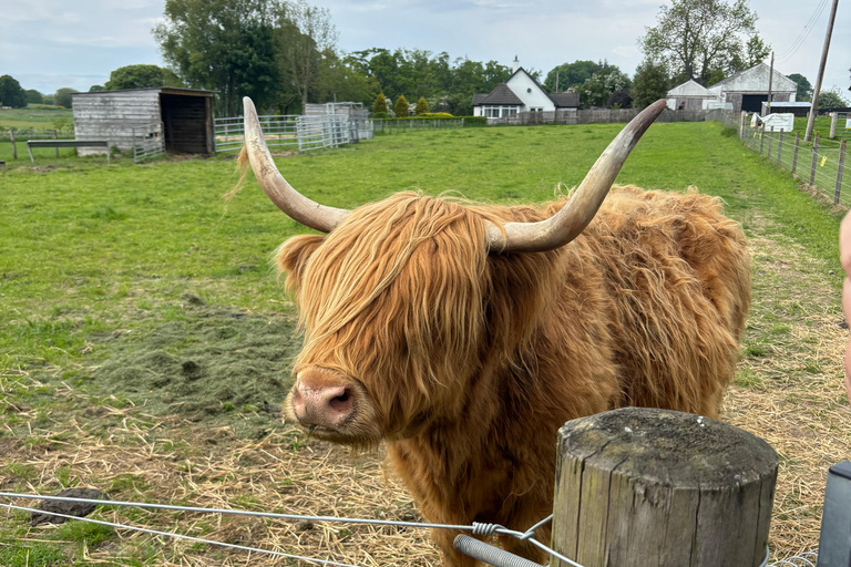 Inverness: Highland Heritage and Culture Tour