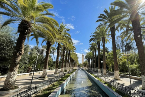 From Agadir: Taroudant and Tiout Oasis Day Trip with Lunch