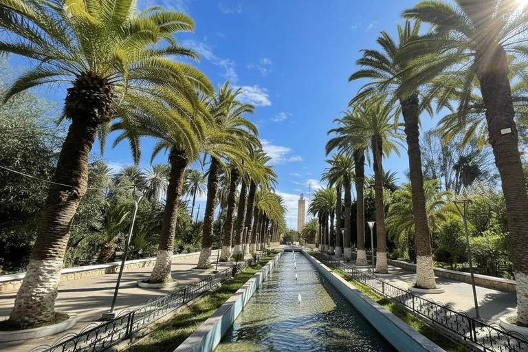 From Agadir: Taroudant and Tiout Oasis Day Trip with Lunch