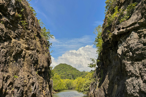 Langkawi: Kilim Geoforest Mangrove Tour with Fishing Trip Mangrove tour & Fishing 1-9 person
