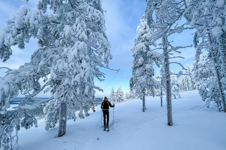 Pyhätunturi: Private Wilderness Skiing Tour In Pyhätunturi