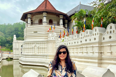 From Colombo: Kandy and Pinnawala Full Day Trip