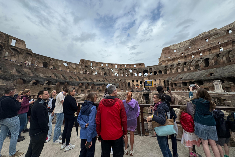 Roma: Visita a la Arena del Coliseo, el Foro Romano y el Palatino