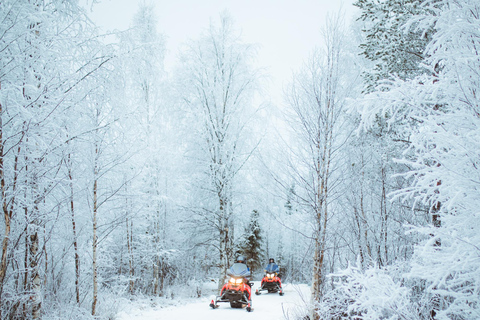 Rovaniemi : Safari de 2 heures en motoneige au début de l&#039;hiver