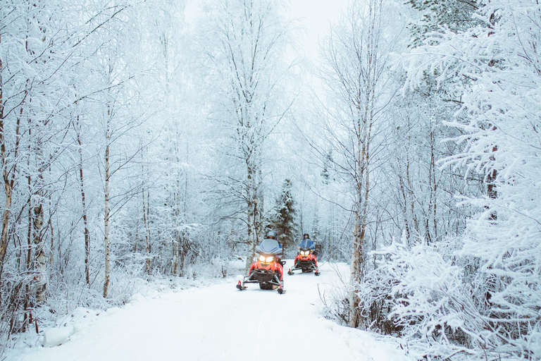 Rovaniemi : Safari de 2 heures en motoneige au début de l&#039;hiver