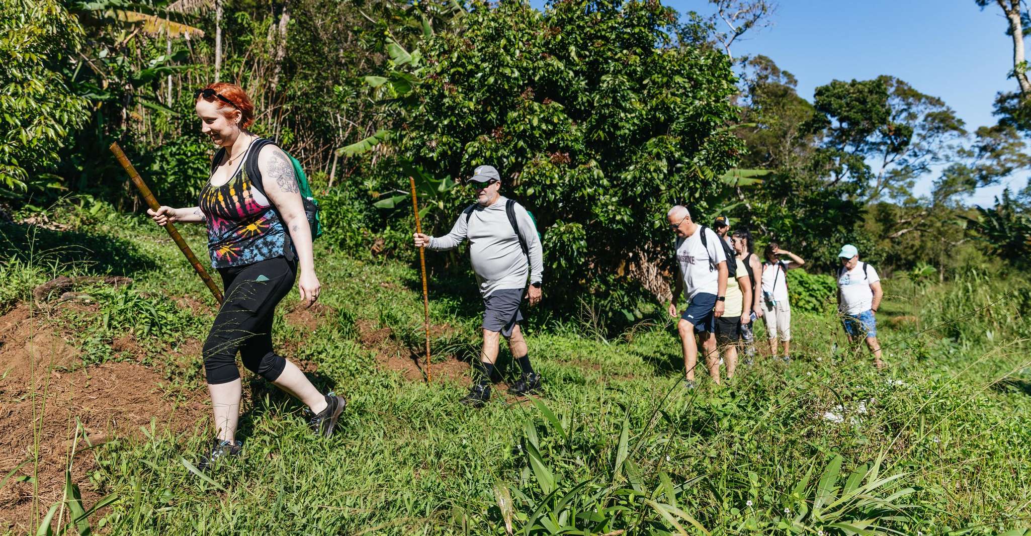 Maui: Rainforest Waterfalls Guided Hike with Picnic Lunch