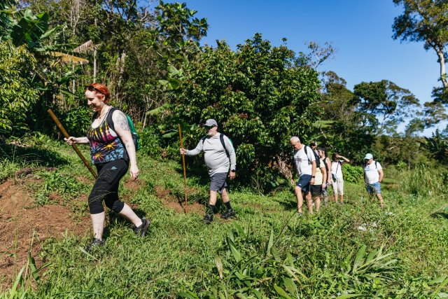 Maui: Escursione guidata alle cascate della foresta pluviale con pranzo a picnic