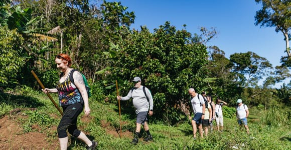 A line of walkers with wooden staffs and daypacks following a narrow track down a grassy slope between banana plants and dense green trees under a clear blue sky