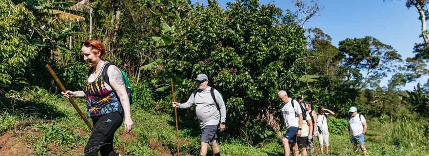 Maui : Randonnée guidée des cascades de la forêt tropicale avec déjeuner pique-nique