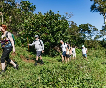 Maui: Rainforest Waterfalls Guided Hike with Picnic Lunch