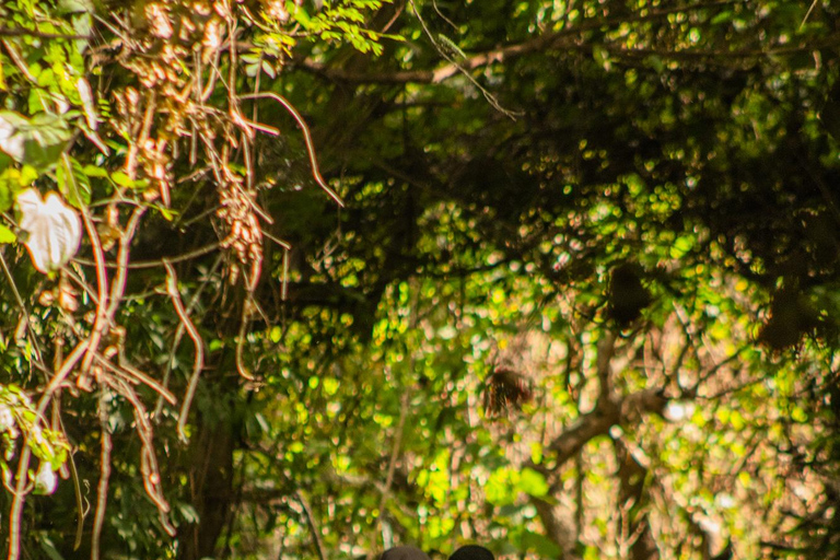 Visite guidée en quad à El Salto de MalacatiupanVisite guidée en quad avec découverte de la cascade de Malacatiupan