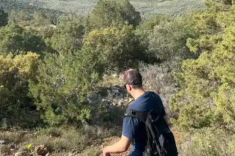 Delfos: Excursión fácil desde el Monasterio hasta la tumba micénica