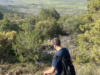 Delphi: Easy Hike from the Monastery to the Mycenaean tomb