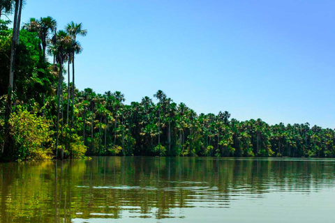 Dia inteiro no lago Sandoval