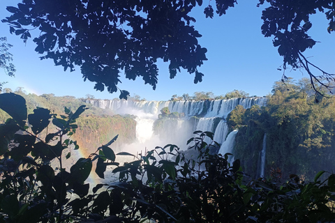 Cascate sul lato brasiliano - servizio privato