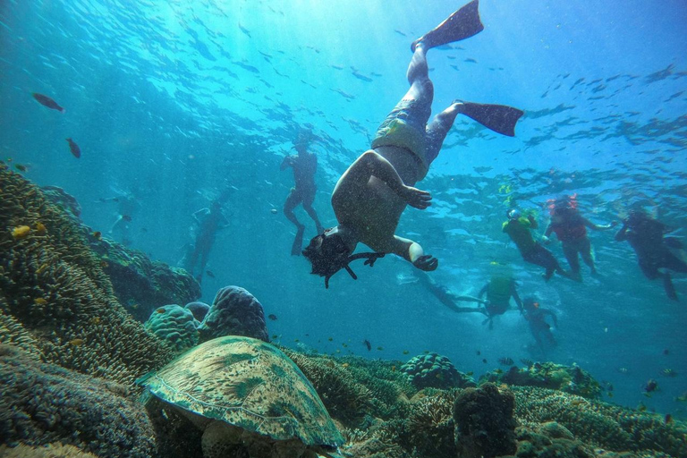 From Sharm: Ras Mohamed, White Island Snorkel & Dive & Lunch 1 Intro Dive Option Beginners & Professional