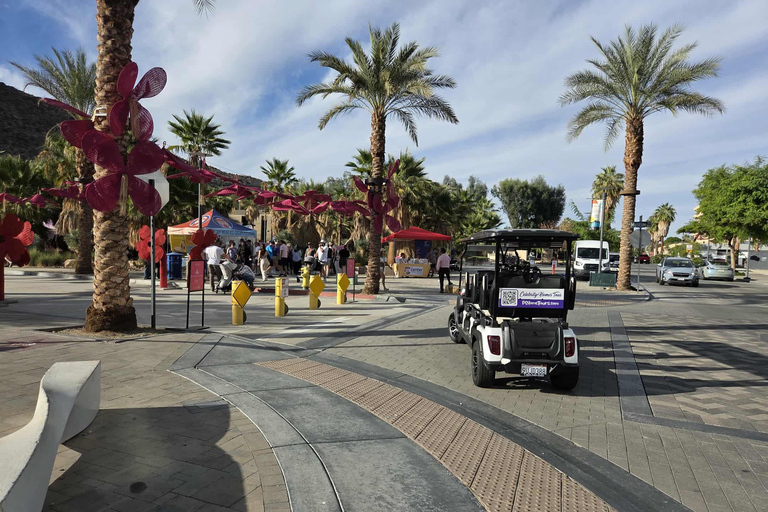 Palm Springs: Celebrity Homes Guided Electric Cart Tour Explore Palm Springs Celebrity Homes in Style