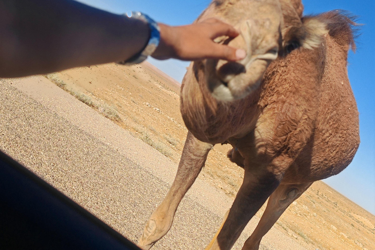 A day trip: Discover Tataouine,Chenini and Ksar Ghilene