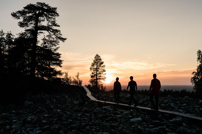 Arctic Wilderness Hike from Rovaniemi (Midnight sun/Sunset)