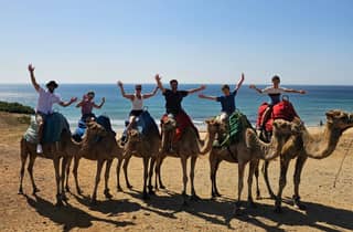Privater Tagesausflug: Gibraltar & (Tanger) Marokko ab Sevilla