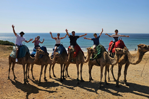 Morocco Express: Private tour to Tangier from Seville