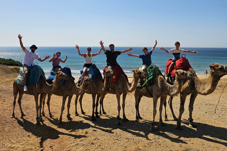 Morocco Express: Private tour to Tangier from Seville