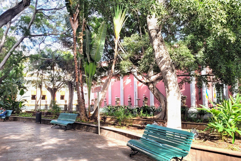 Santa Cruz: Paseo guiado por el casco antiguo - Lugares de interés y especiales