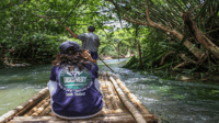 Khao Lak, Elephant Safari con pranzo - Hizvo