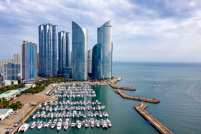 Max Out Busan: Hoogtepunten van de topattracties Eendaagse stadstourGedeelde Tour - Bijeenkomst op Haeundae Station