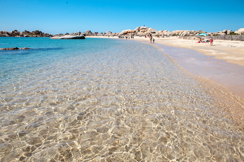 From Santa Teresa Gallura: Corsica and Bonifacio Boat Tour