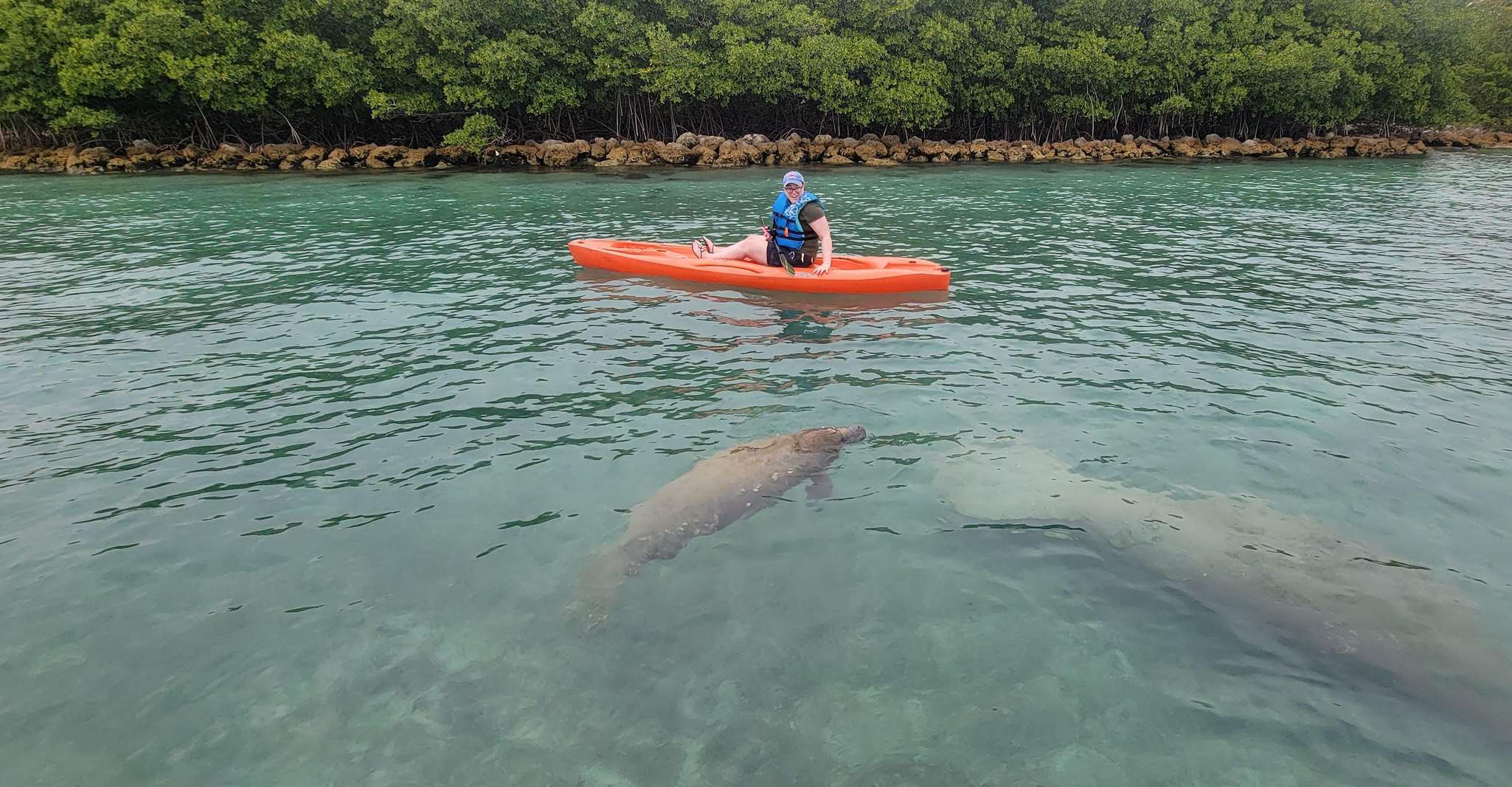 Miami: Biscayne Bay Ultimate Boat Tour with Kayak Experience photo 18