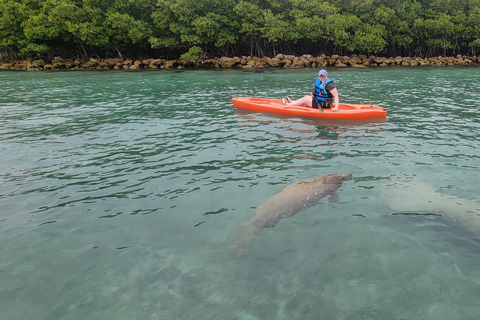 Miami: Biscayne Bay Ultimate Boat Tour with Kayak Experience