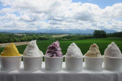 Furano Lavender, Ningle Terrace & Melon Buffet Bus Tour S1-1 [Jun 20 - Aug 9]: Lavender & Buffet
