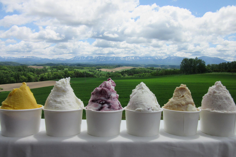 Furano Lavender, Ningle Terrace & Melon Buffet Bus Tour S1-1 [Jun 20 - Aug 9]: Lavender & Buffet