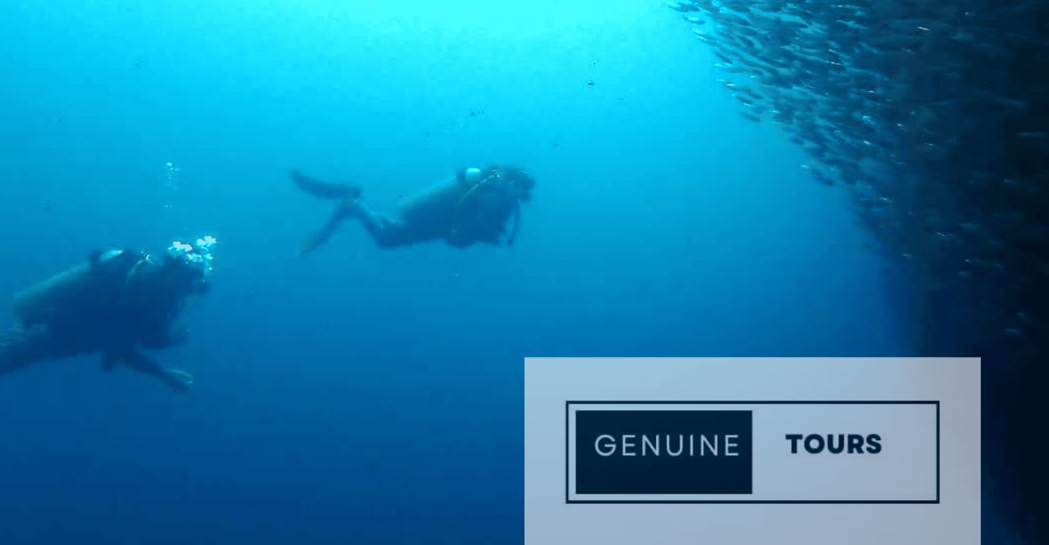 Moalboal, Buceo con la Sardina y Tortugas Marinas - Hizvo