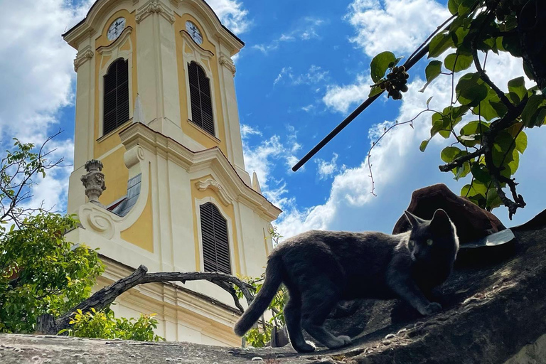 Excursion d'une journée à Szentendre (patrimoine mondial de l'Unesco)