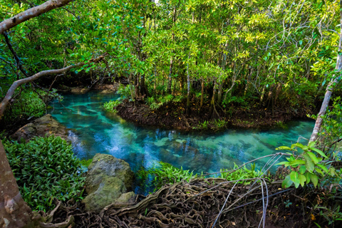 Ao Nang: Crystal Pool Kajak, ATV und Ananas Farm Tour1-stündige ATV-Fahrt