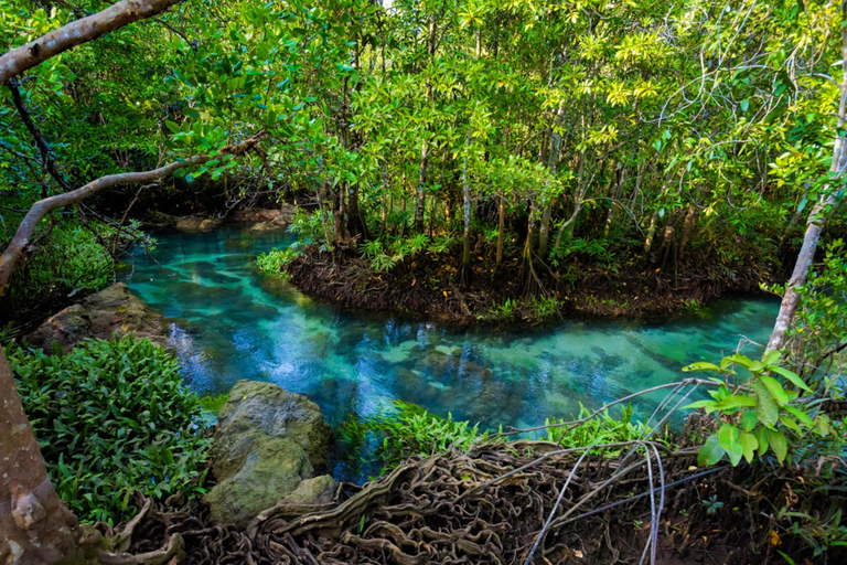 Ao Nang: Crystal Pool Kayaking, ATV, and Pineapple Farm Tour 1-Hour ATV Ride