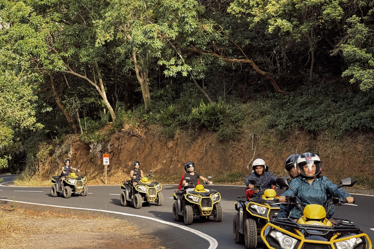 Puerto de la Cruz: Ascend Mount Teide on a quad bike to experience a magical sunset Individual Quad (1 person per quad)