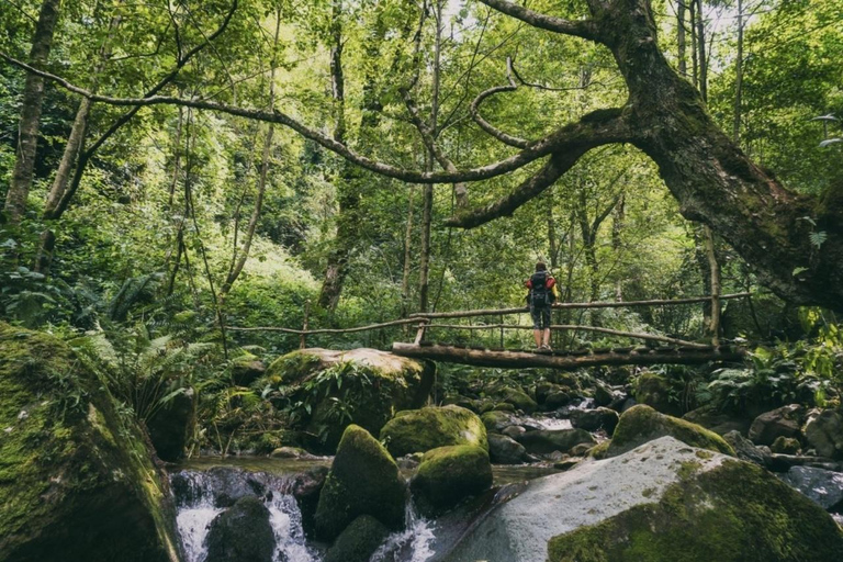 From Batumi: Mtirala National Park Private Tour with BBQ