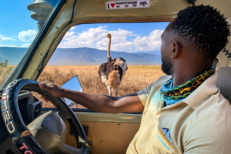 From Arusha: Tarangire Park Private Safari with Lunch