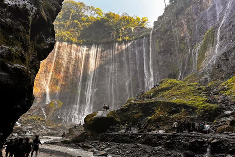 Tumpak Sewu : excursion privée d&#039;une journée depuis Surabaya ou MalangCascade de Tumpak Sewu : excursion privée d&#039;une journée depuis SURABAYA