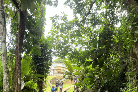 El Yunque Rainforest & Old San Juan Tour