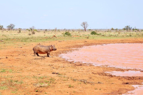 Nairobi: Amboseli & Tsavo East 2-Day Safari with Guide