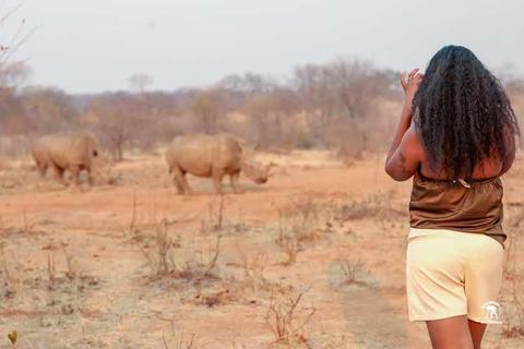 Livingstone :Sunset Game Drive and Rhino tracking With Drink