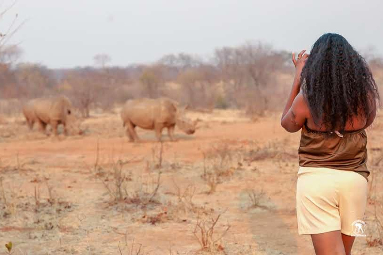 Livingstone :Sunset Game Drive and Rhino tracking With Drink
