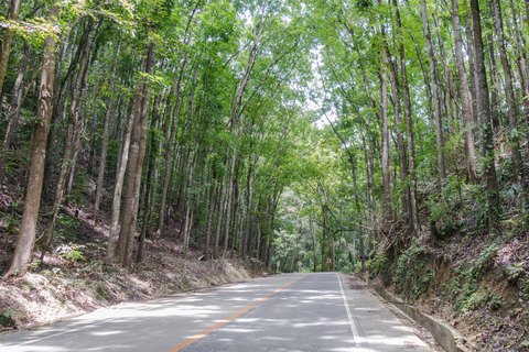 Bohol: Privétour over het platteland met lunchbuffetPlatteland Bohol